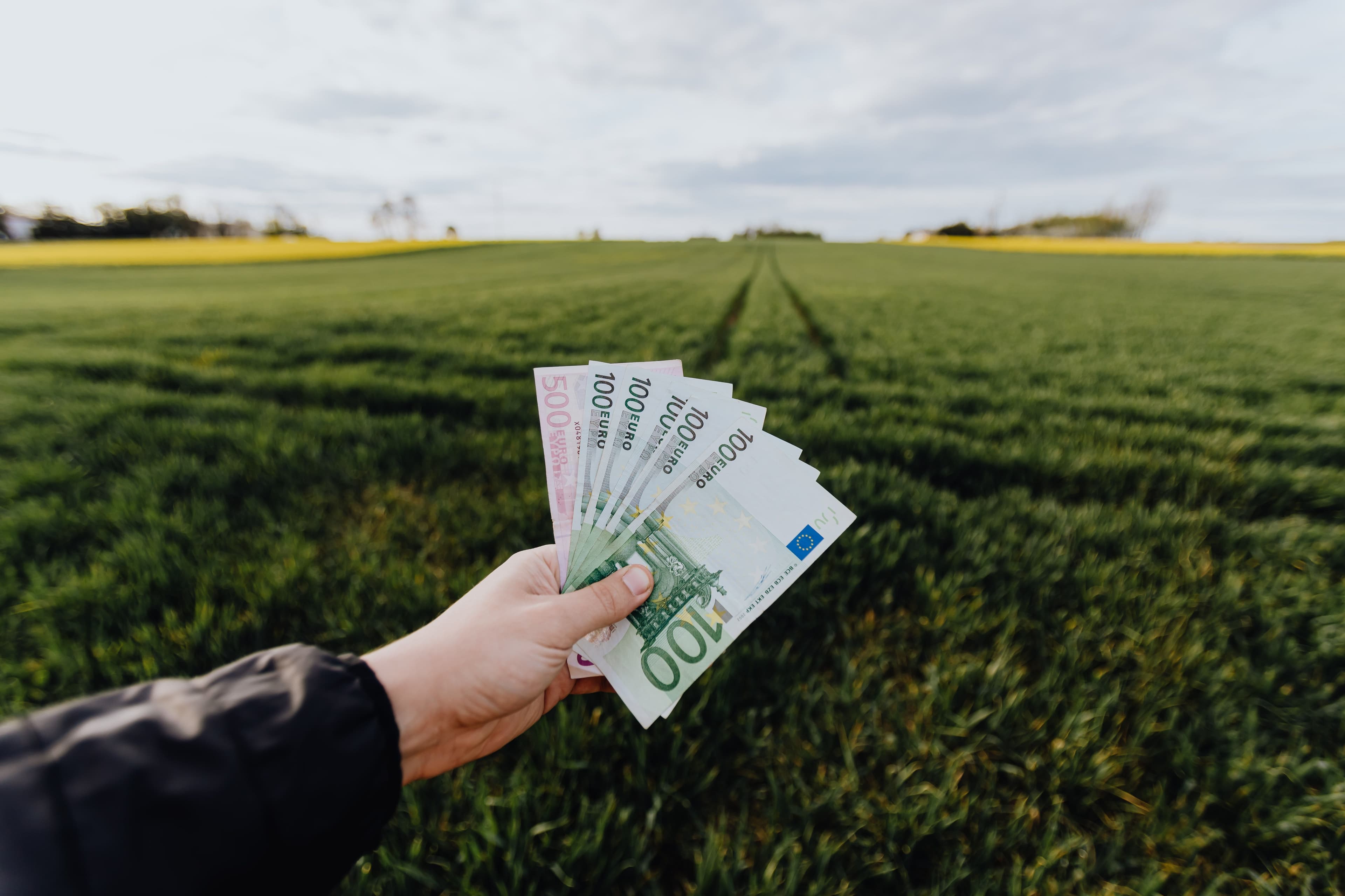 A hand holding euro banknotes over a green field
